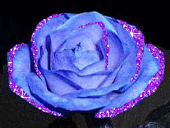 Petit message d'amour mon prince